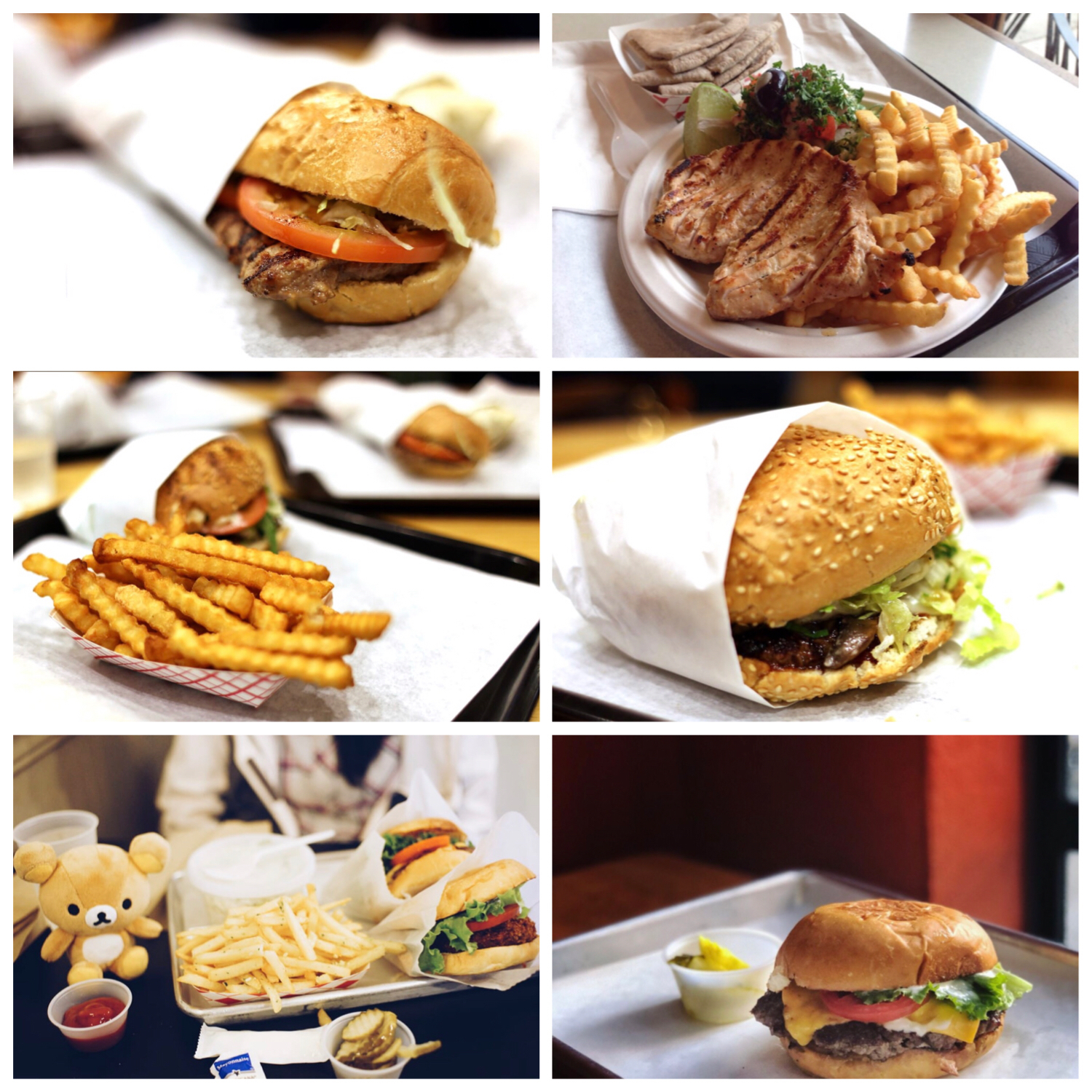 从复旦到美国：在外过得好不好，中国人的胃知道