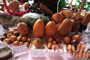 最齐全的全国奇石交易市场 (最真实的奇石市场在哪儿呢)