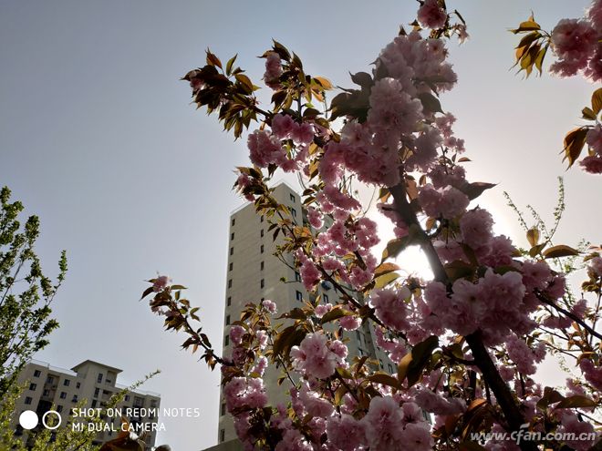 三年前的红米note5现在怎么样,骁龙660红米note8