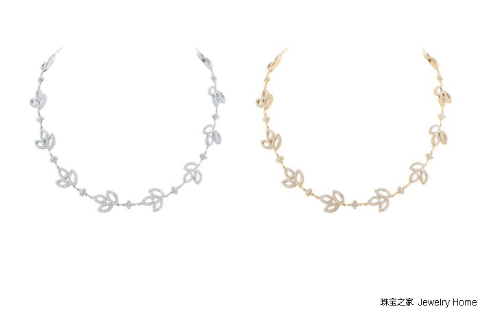 花草丛中，最爱的还是那朵LilyCluster