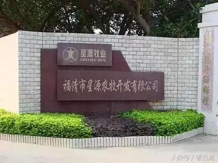 福清上市公司,福清市上市公司有几家