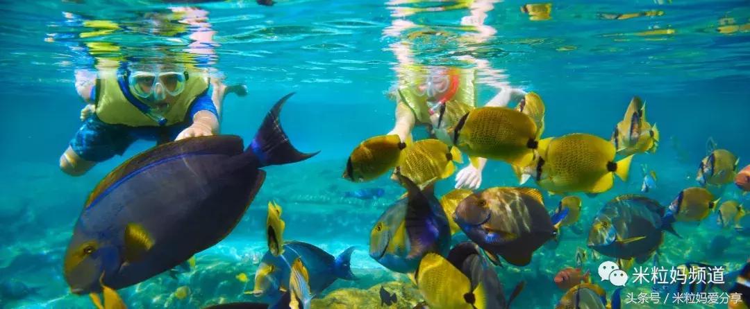 夏威夷怎么跨岛旅游的,夏威夷何时旅游最好