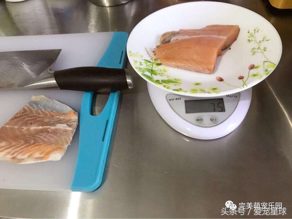 如何自制幼犬去泪痕狗粮视频教程,怎么给狗自制狗粮器