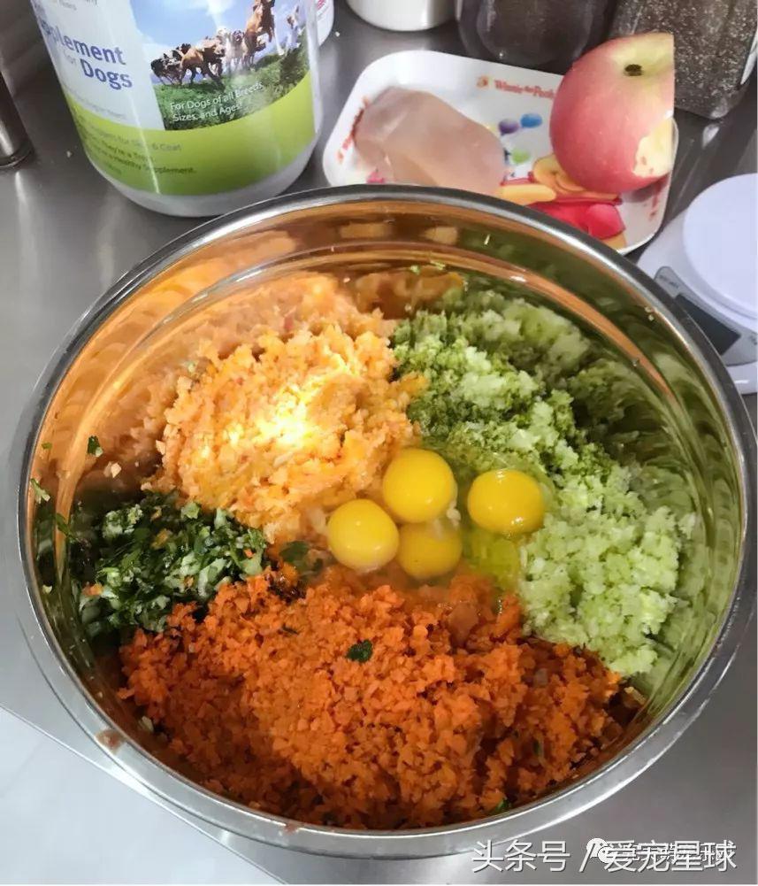 如何自制幼犬去泪痕狗粮视频教程,怎么给狗自制狗粮器