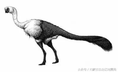 洗干净的恐龙,不可驯服的恐龙