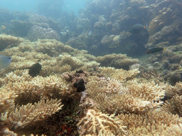全球十大最美岛屿,揭秘地球最深海洋