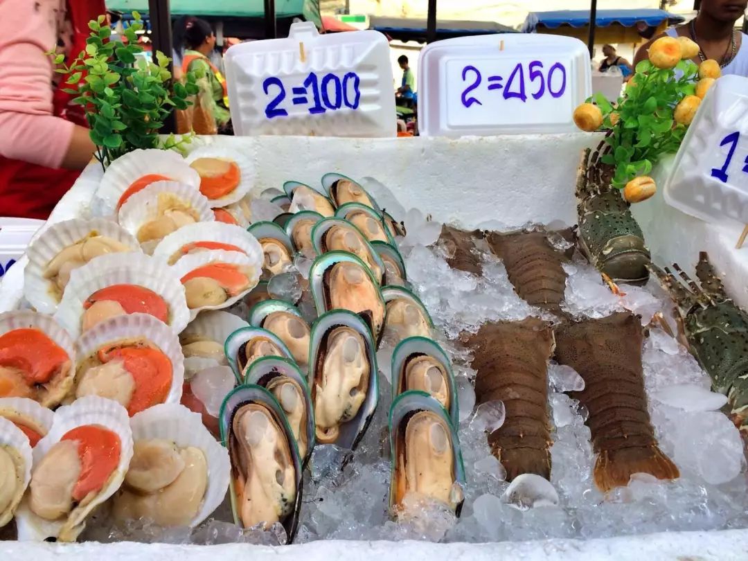 零基础想在夜市摆摊去哪里学习,没有外语环境如何学好外语