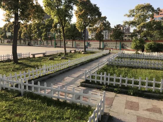 不要只看国外的基础设施，看看我国的小学厉害不厉害！