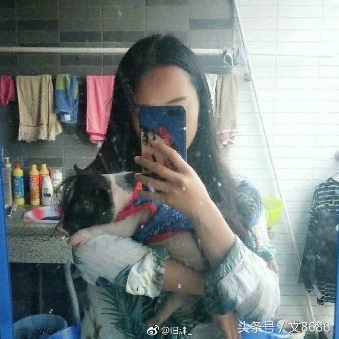 女大学生寝室养猪：确认过眼神，没想到遇上检查的人！