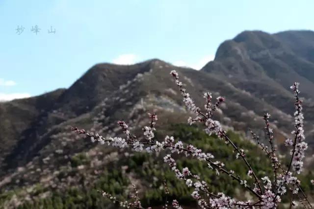 北京最值得去的十个景区,北京最值得爬的山四五月份