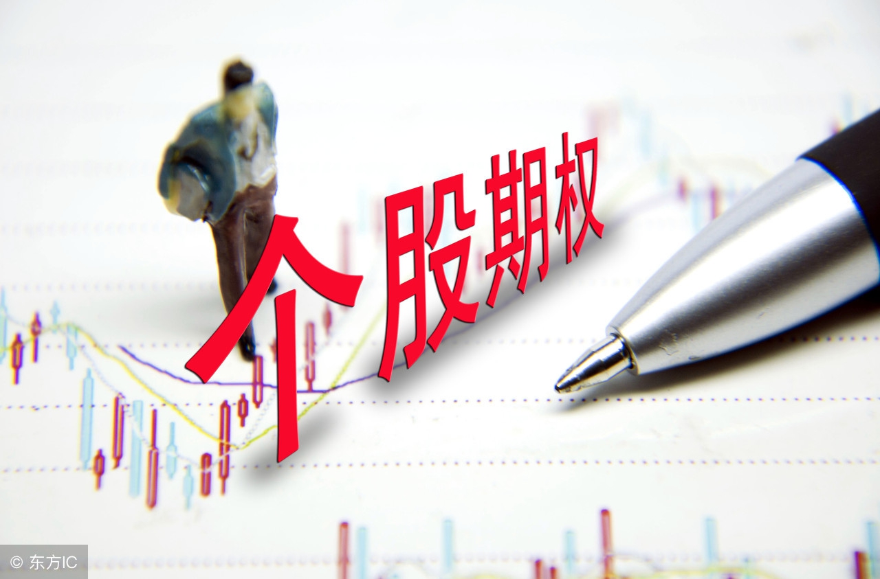 什么叫个股期权解读,个股期权真的赚钱吗