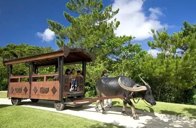 冲绳游玩,冲绳游玩攻略视频