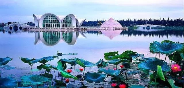 住佛山三水芦苞温泉度假村，泡长命温泉水，游古色长岐古村