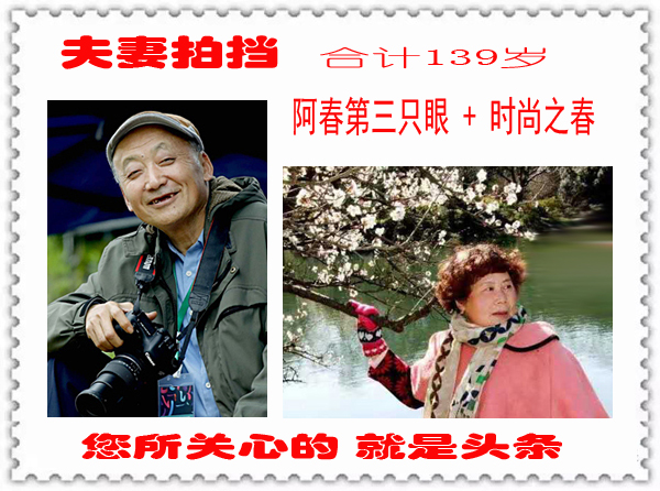 神游世外桃源完整视频,神游仙居景区