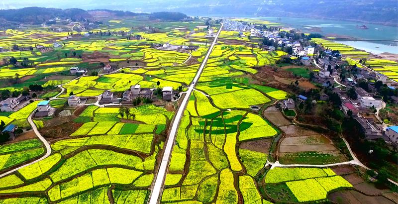 王家人的历史,关于王家人的视频