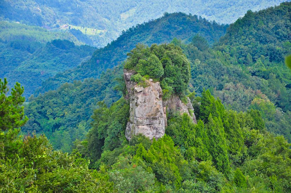 王家人的历史,关于王家人的视频