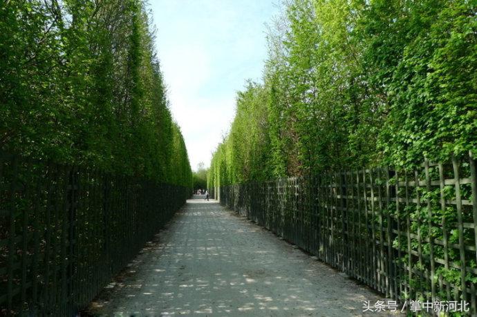 阴道竟然如此美丽