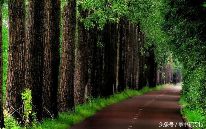 阴道竟然如此美丽