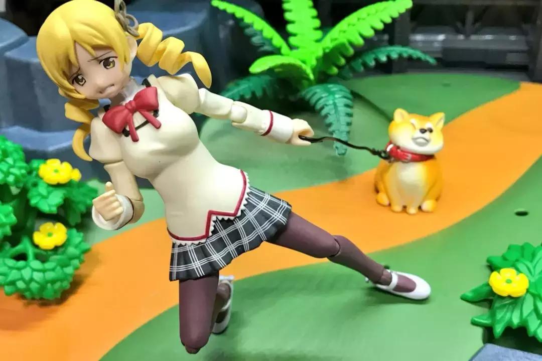 柴犬拒绝回家了,柴犬不想回家躺在地上耍赖