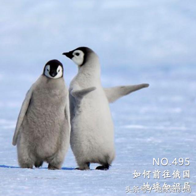 往南走，中国人走了这么远终于找到了……｜地球知识局