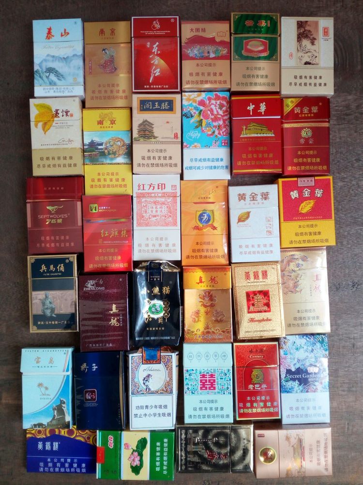 收藏的乐趣在哪里,收藏的乐趣优秀作文