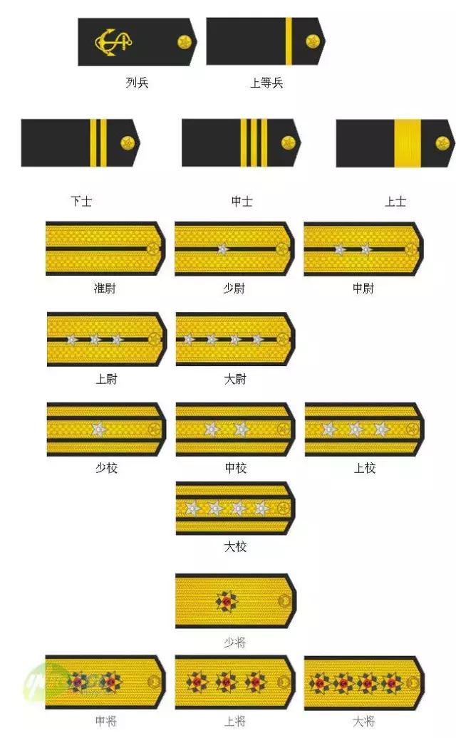 中国海军部队标志,海军所有等级和标徽