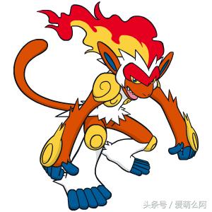 神奇宝贝大图鉴,神奇宝贝图鉴大全集