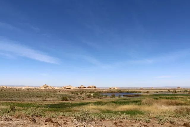 陶冶重庆,陶冶重庆演唱会