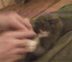 皮肤又嫩又滑的神器,超级便宜又能变白的神器