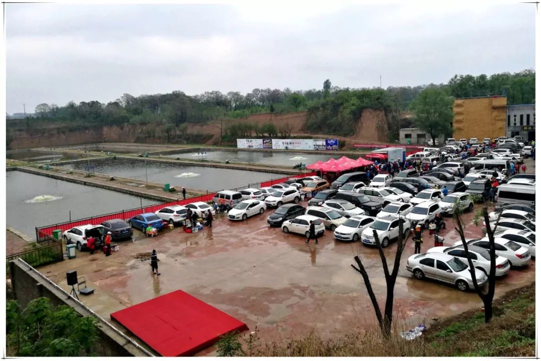 光威钓王特级大师邀请赛,第十届光威钓王杯八位竞钓大师