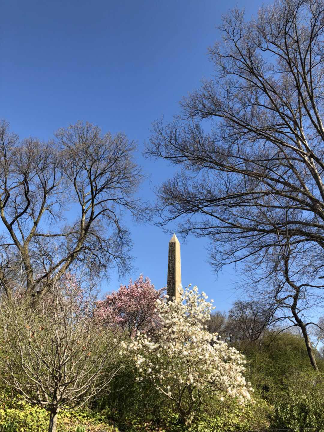 世界那么大假期你都游过哪些地方,世界那么大旅游特辑