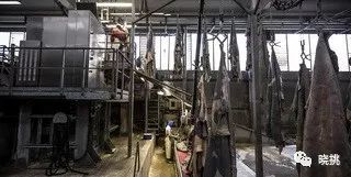 皮革的基础常识,皮革是怎么生产的