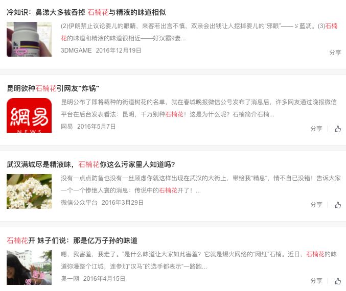 大学校园里面的石楠花,复旦石楠花