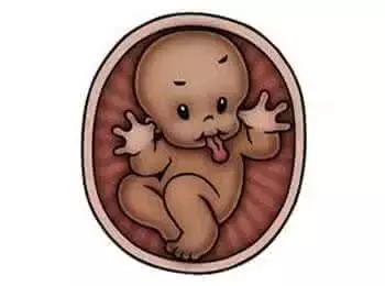 补钙会造成胎儿畸形吗,补钙会导致胎儿硬不好生吗