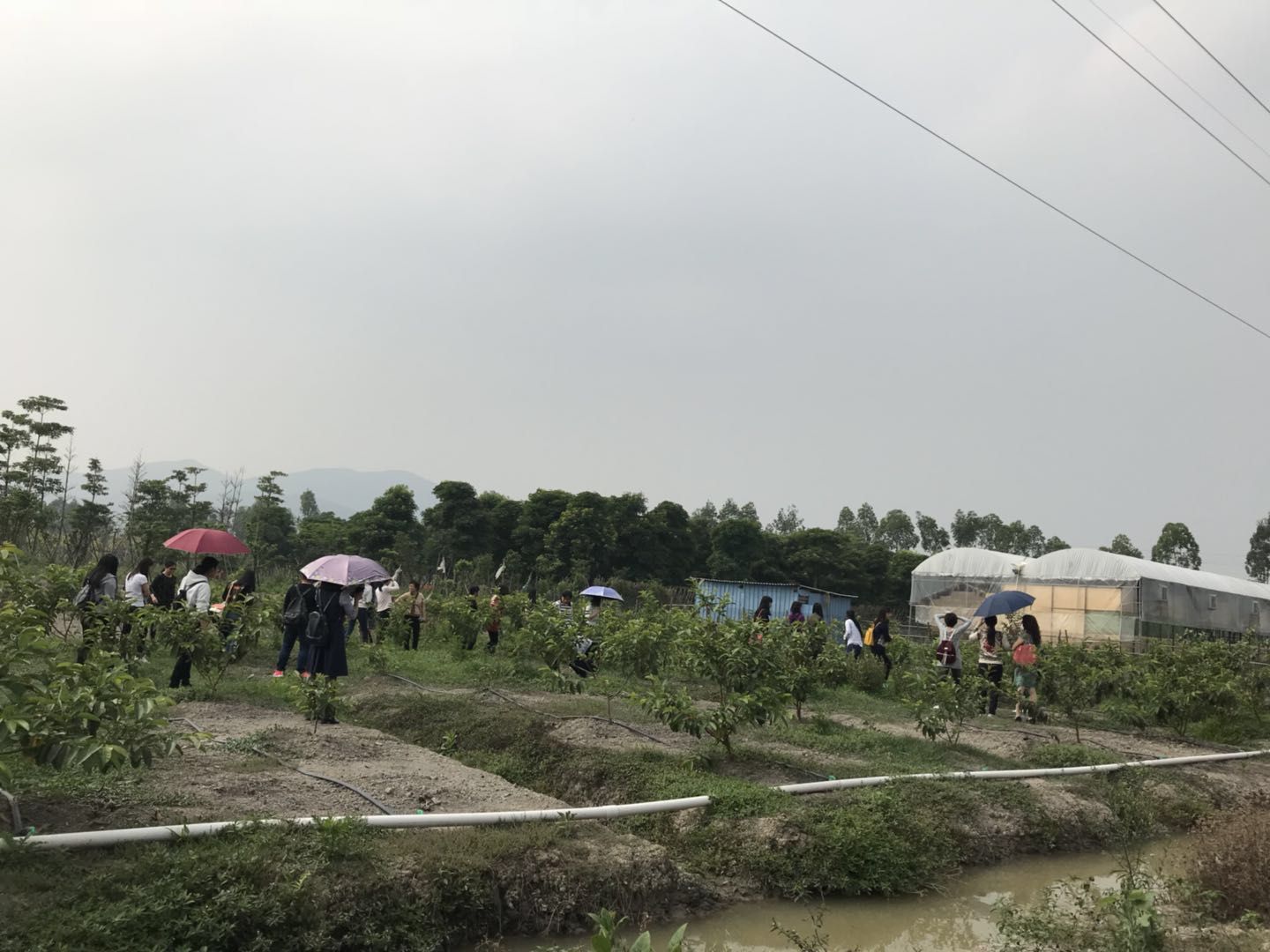 五一假期佛山去哪玩,高明五一攻略