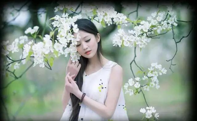 双林寺诗句,双林诗句