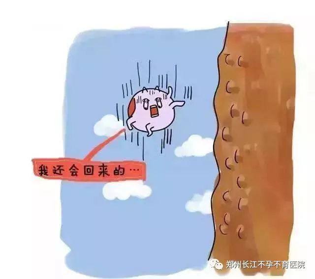 这4个特征表示你怀孕了,哪些变化提示成功受孕了