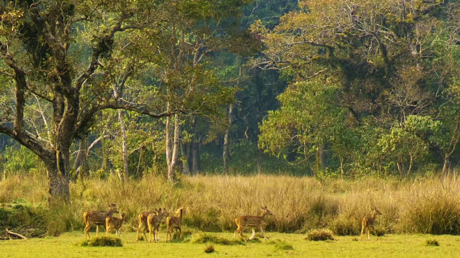 盘点尼泊尔旅游的一些坑，出租车坑最泛滥，警惕陌生人搭讪