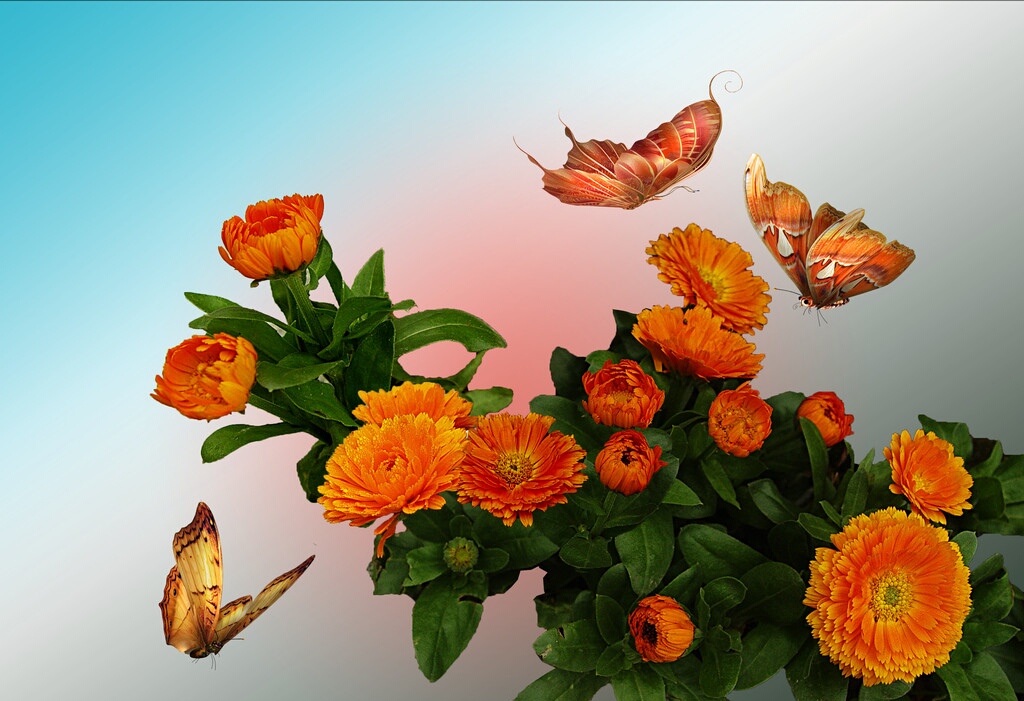 形容春天的美好景象的成语,春天的成语100个简单