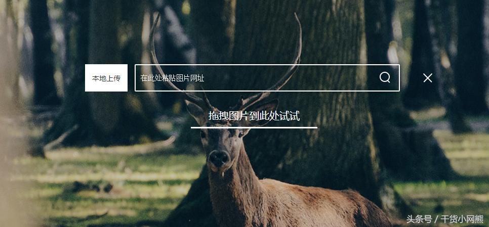 识别图片找到相似图片的工具,如何用图片搜索图片