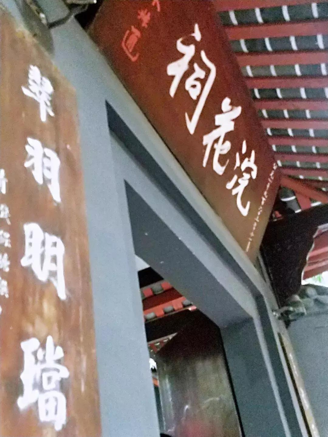 成都五日游最佳攻略及费用自由行,成都三日游最佳攻略超详细