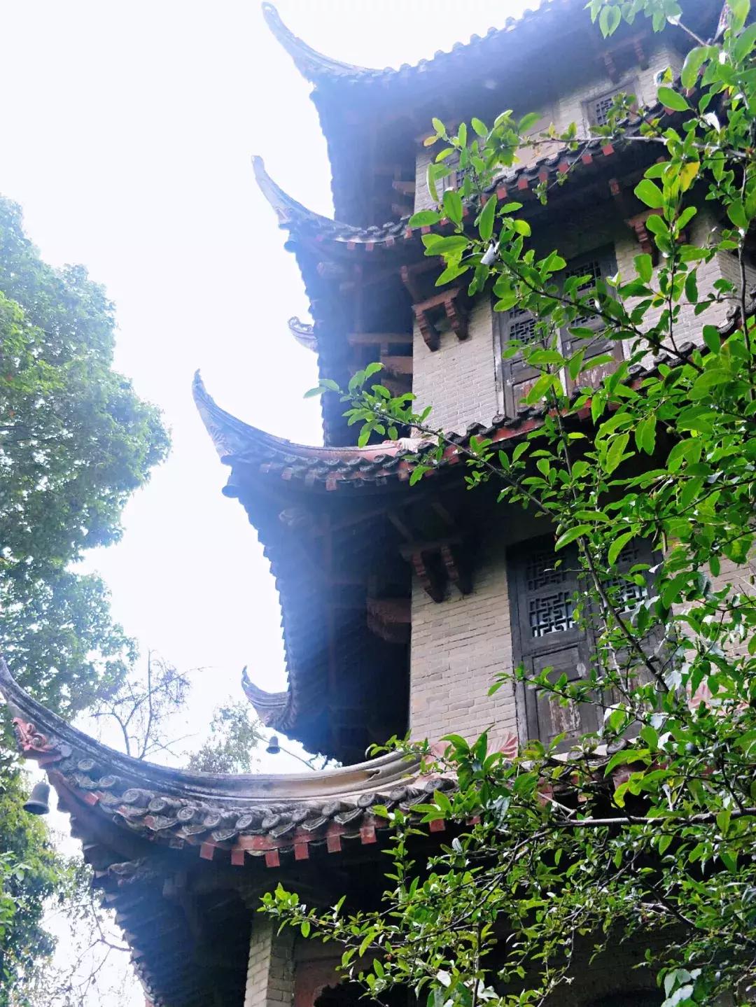 成都五日游最佳攻略及费用自由行,成都三日游最佳攻略超详细