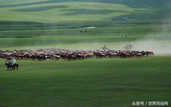 藏族风俗习惯,蒙古族风俗习惯食物