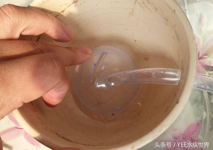 小水泵自制鱼缸过滤系统,小水泵创意作品