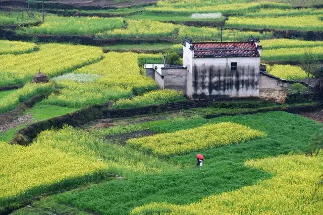 梦里徽州儿歌,梦里徽州音乐