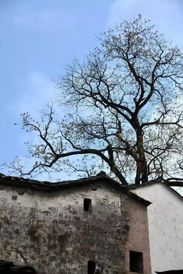 梦里徽州儿歌,梦里徽州音乐