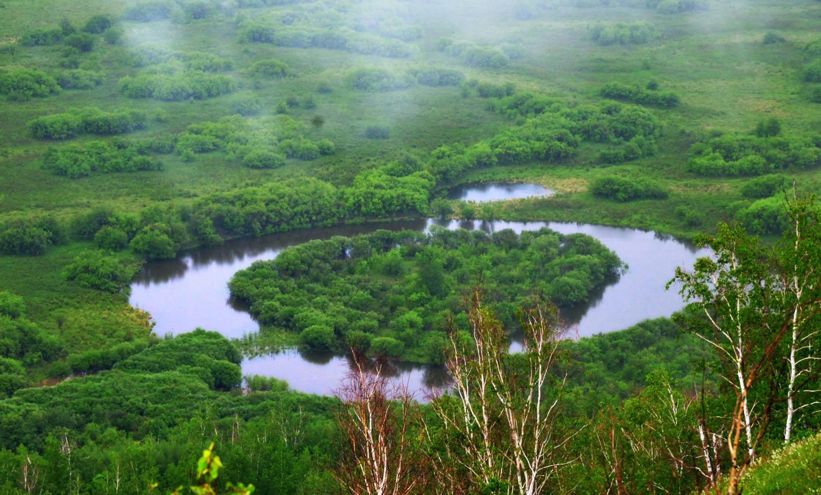 呼伦贝尔大草原中俄边界线风景区,呼伦贝尔大草原跟团游一日游