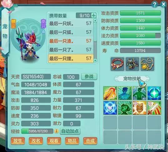 《神武3》,神武3视频