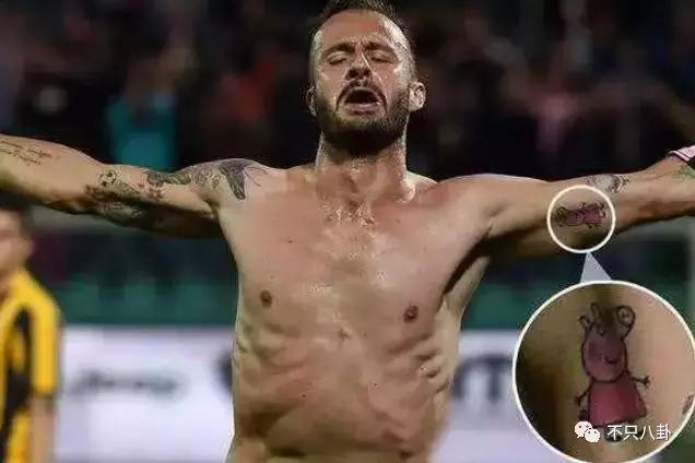 生活圈被它攻占，明星主动“蹭”它热度，现在的流量担当是这只猪