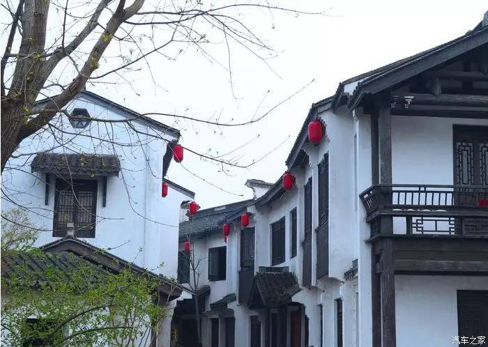 东南dx3自驾游,江浙寻花事